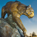 Southern Illinois University, Edwardsville logo